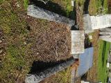 image of grave number 760267
